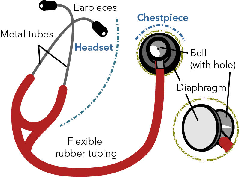Labelled diagram of a modern stethoscope showing the diaphragm, bell, tubing and earpieces