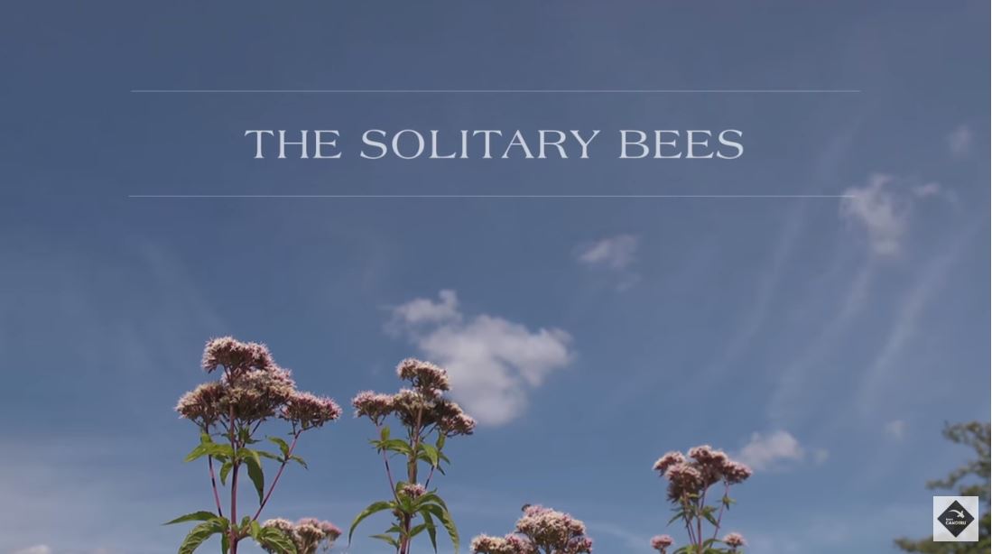Screenshot from The Solitary Bees