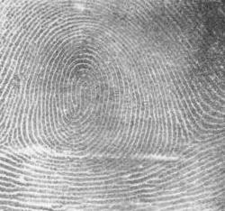 How can I take fingerprints?