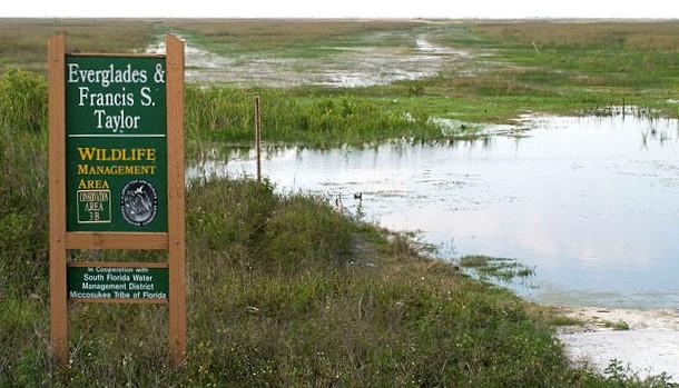 Everglades restoration project 