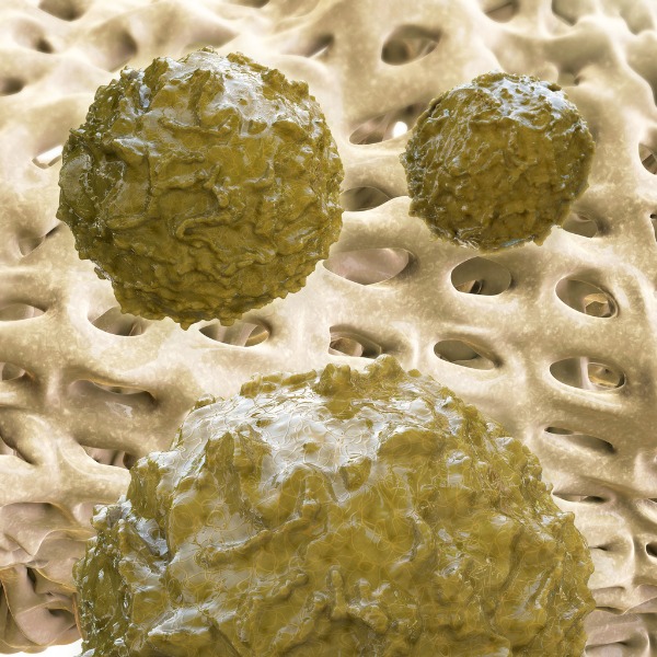 A 3D-rendered illustration of stem cells