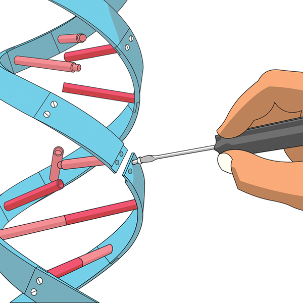 Hand with screwdriver “repairing” DNA