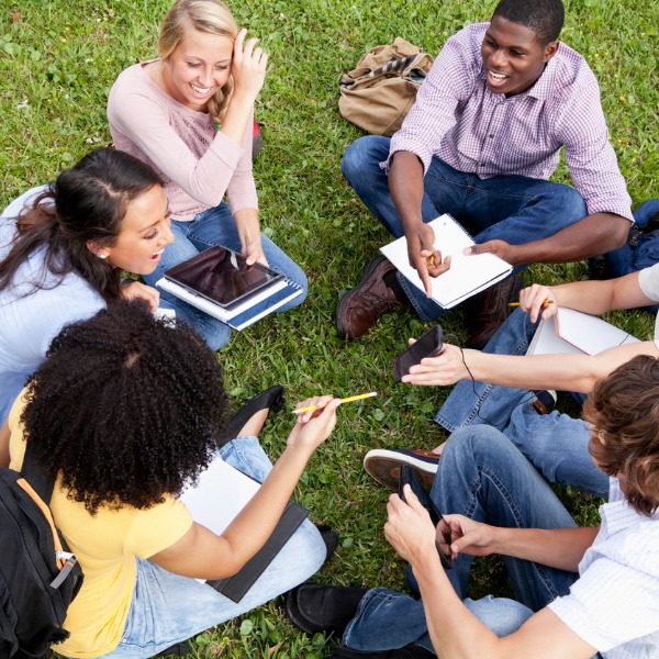 Students studying outdoors on grass