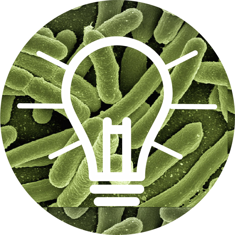 Microbial Fuel Cells | Let's Talk Science