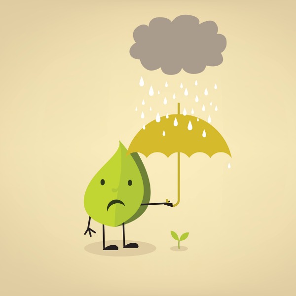 Cartoon leaf holding an umbrella over baby plant