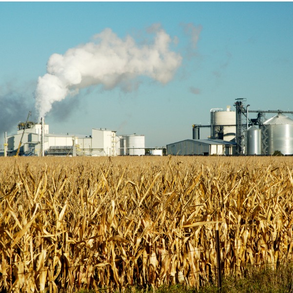 orn ethanol plant next to corn field