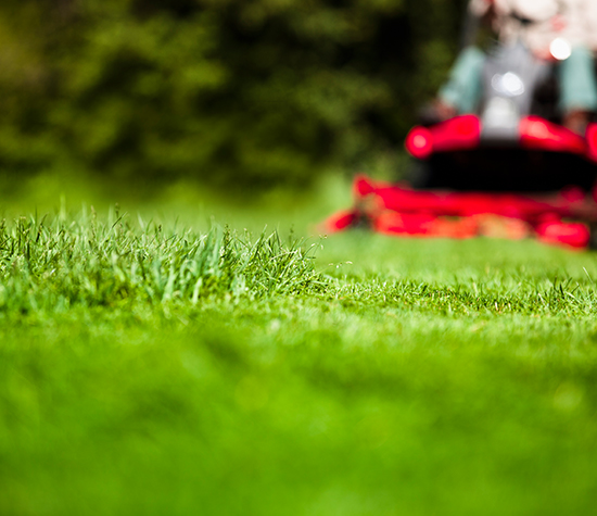 Lawn mower mowing grass