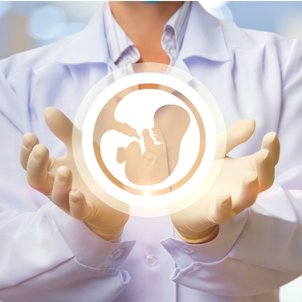 icon of embryo in hands