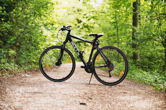 Bicycle on a forest path 