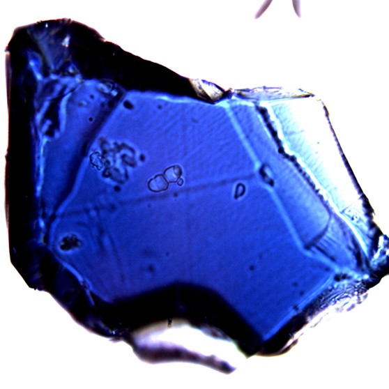 Magnified image of a ringwoodite crystal