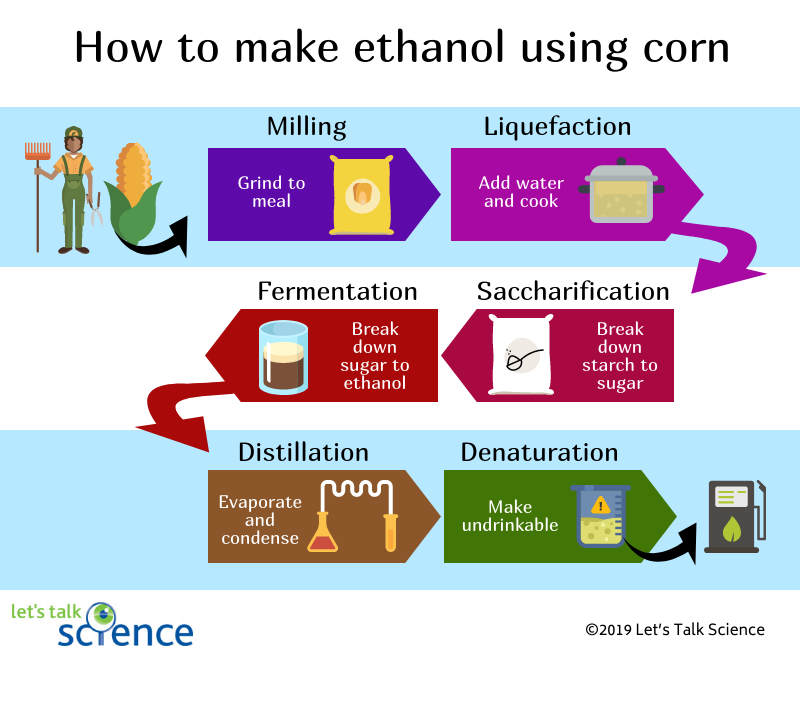 Shown is a colour flowchart showing the steps involved in the ethanol production process