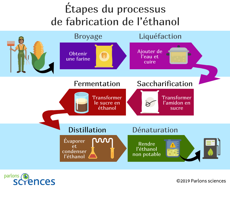 Graphique couleur montrant les étapes du processus de production d’éthanol.
