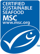 msc-logo.jpg