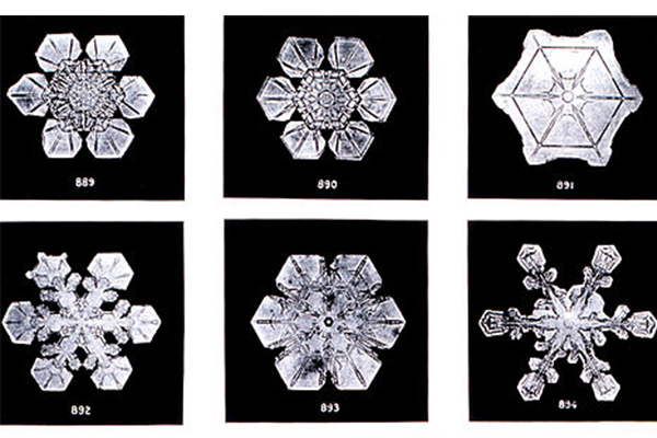 Magnified Snowflake Crystals 