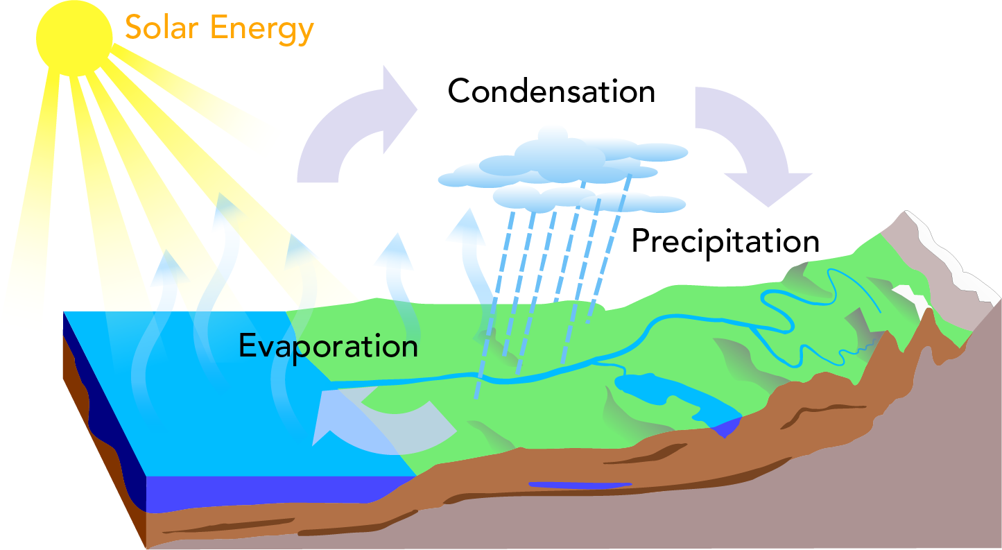 The water cycle/Le cycle de l’eau