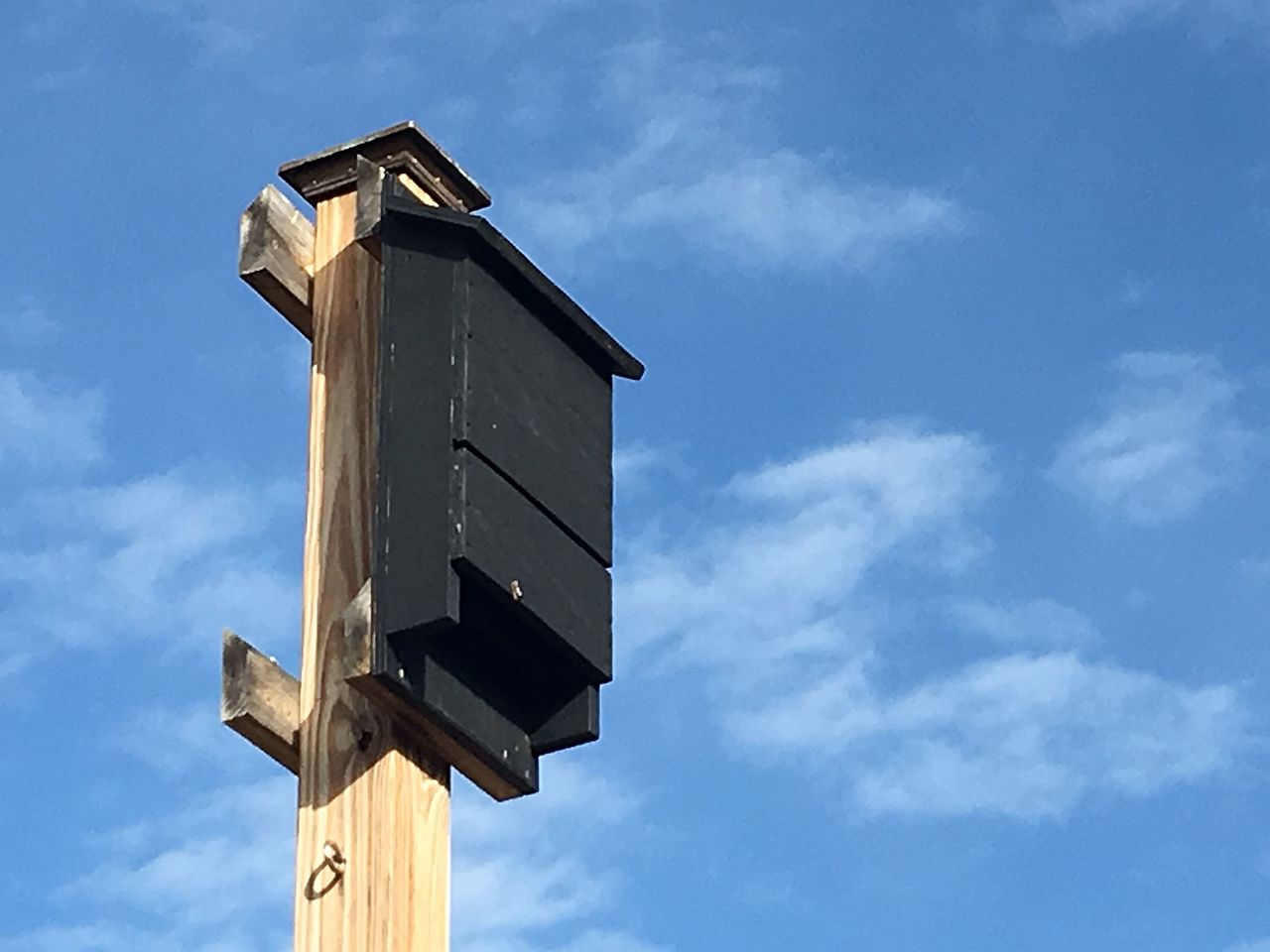 Bat house on a post
