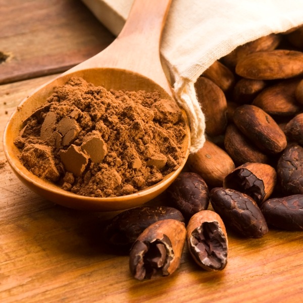 Cocoa beans and cocoa powder 