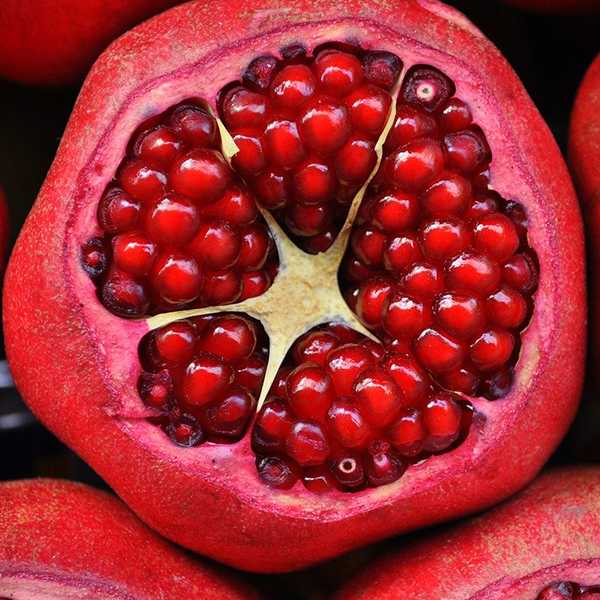 Seeds of a pomegranate fruit