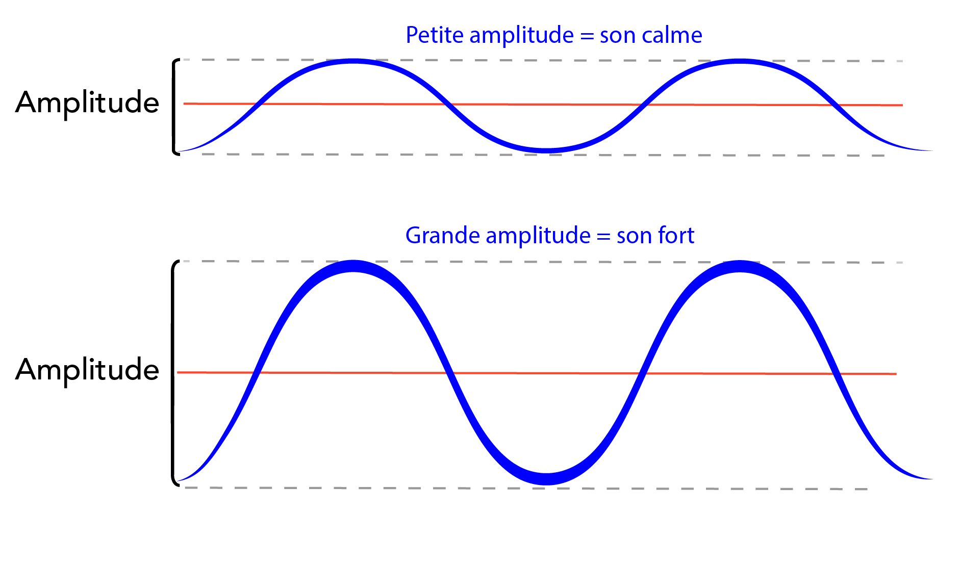 Les sons calmes ont de petites amplitudes comme le montre l’image du haut, et les sons forts ont de grandes amplitudes comme le montre l’image du bas