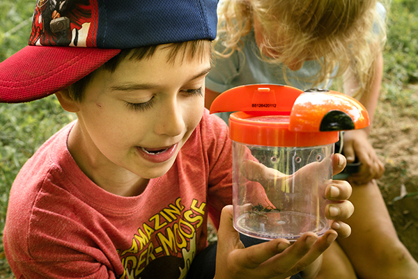 Boy looking at an insect in a container 