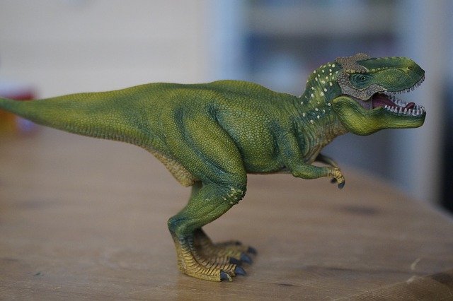 Model Tyrannosaurus