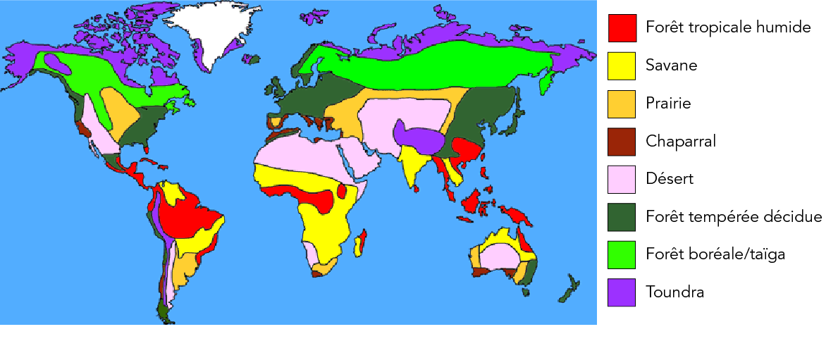 Cette carte du monde en couleur illustre l'emplacement des biomes terrestres.