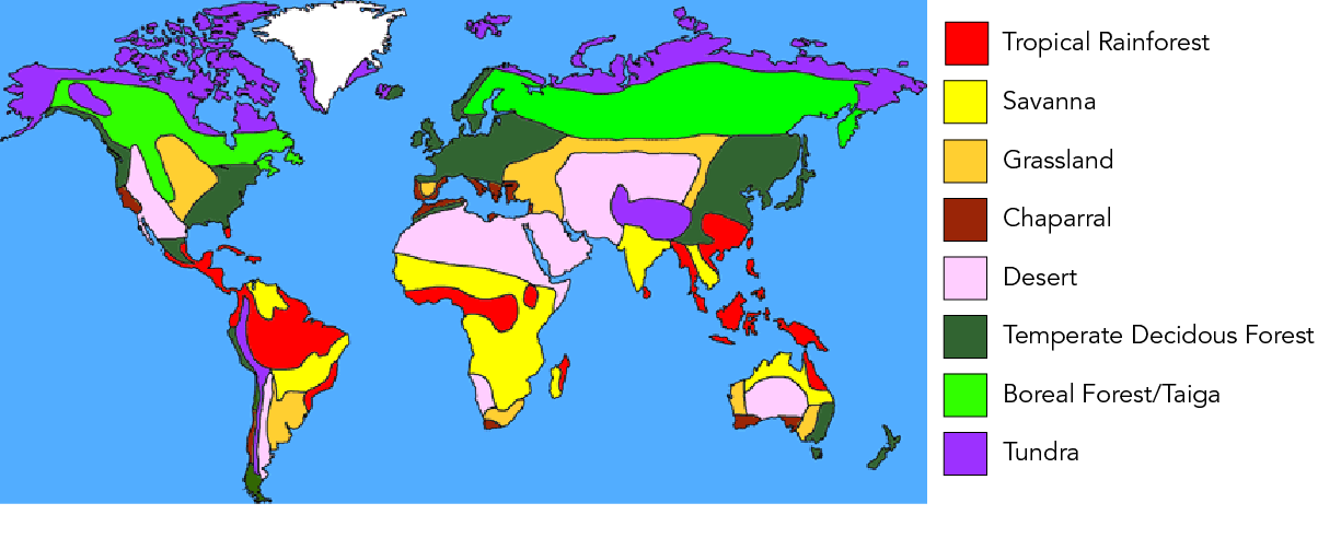 Shown is a colour world map illustrating the location of terrestrial biomes.
