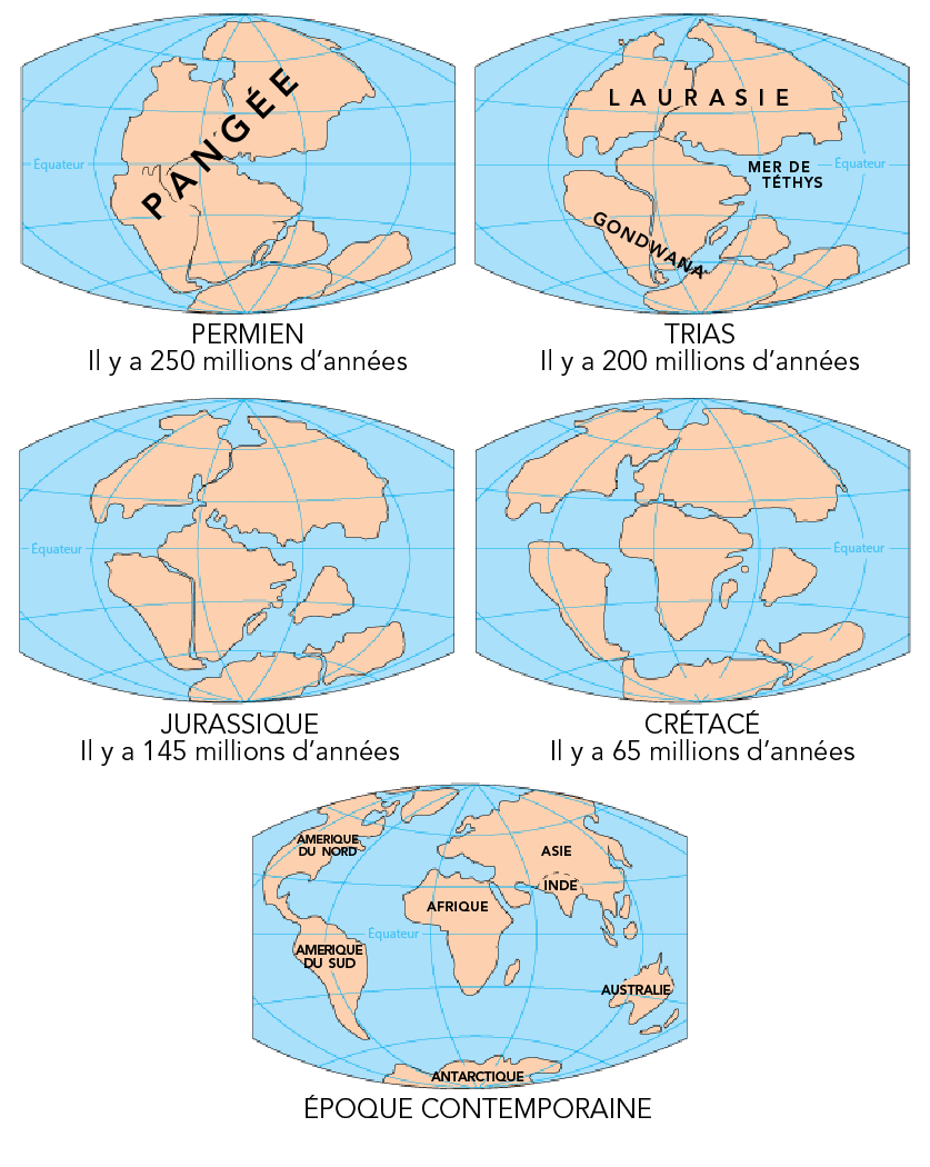 Des cartes en couleur illustrent les continents de la Terre à cinq époques différentes.
