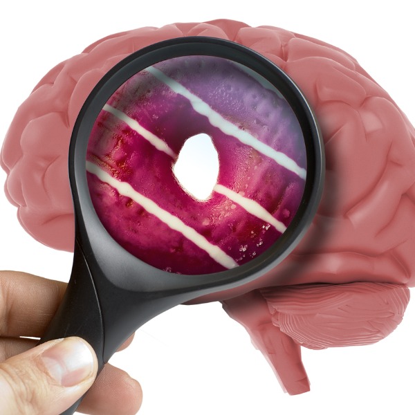 Looking at a donut and a brain through a magnifying glass