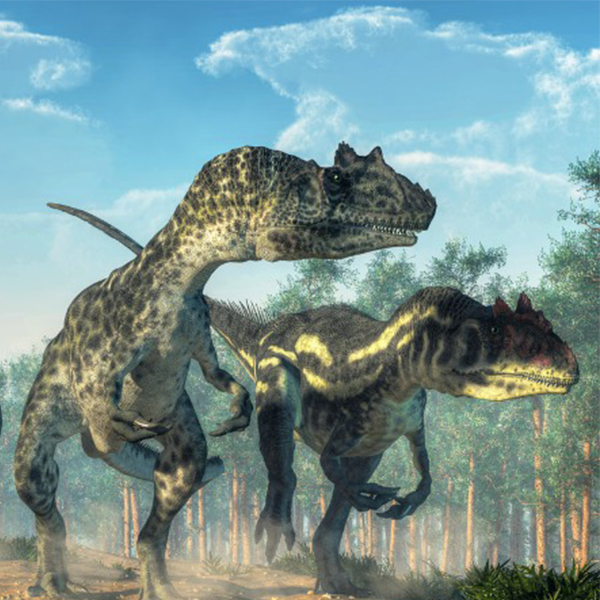 Meat-eating dinosaurs