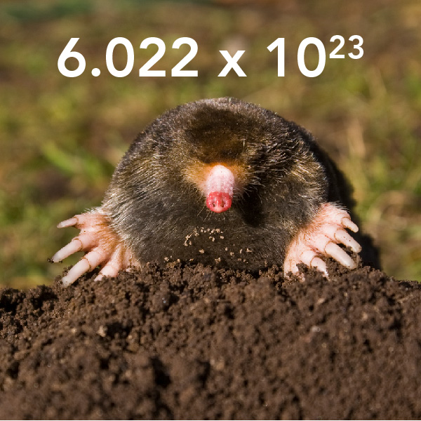 Moles and Molarity: Counting and Chemistry from Donuts to Soap | Let's Talk  Science
