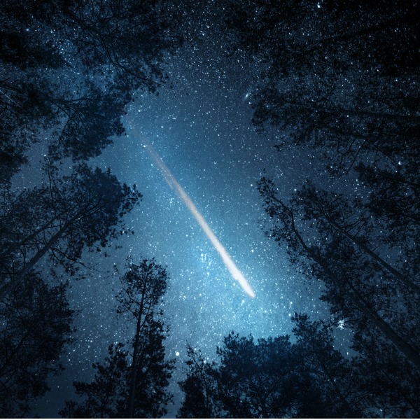 Meteor seen through an opening in the trees