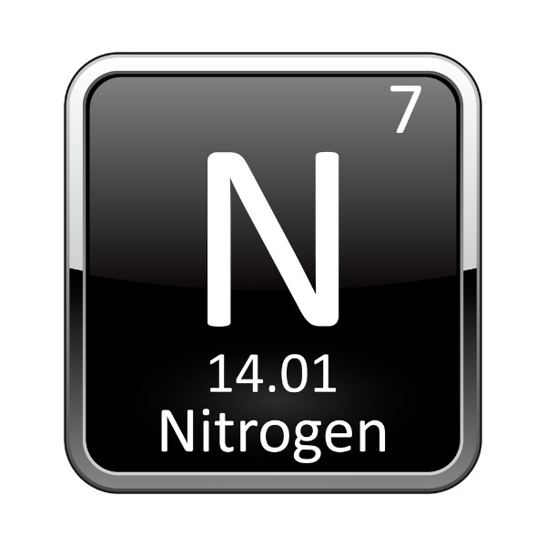 Understanding the Nitrogen Cycle | Let's Talk Science