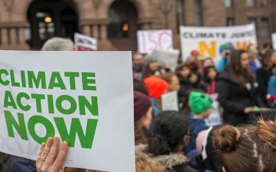 Sign reading "Climate Action Now" at a climate protest