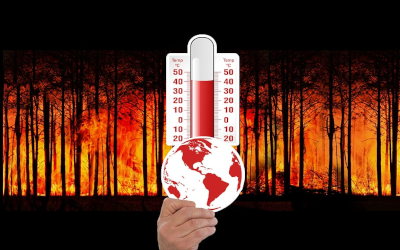 Thermometer in front of a forest fire 