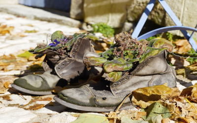 Shoes being recycled as planters
