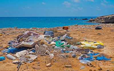 Pollution and garbage on the shoreline