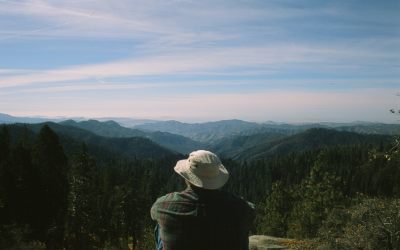 Looking out over the Sequoia National Park