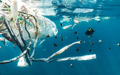 Plastic pollution in the ocean