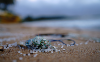 Microplastics embedded into shore gravel