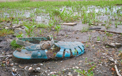Shoe abandoned in a wet field