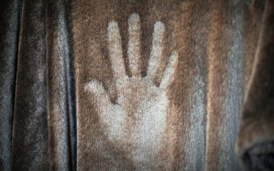 Handprint on fabric