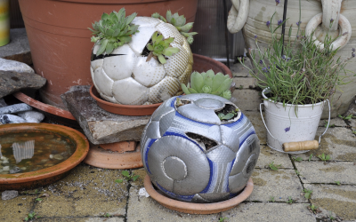 Soccer balls upcycled into planters.