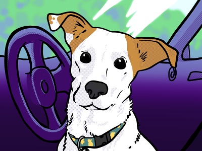 Illustration of a dog in a car.
