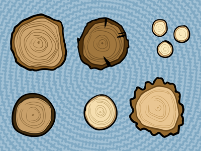 Illustration of several tree trunks showing tree rings
