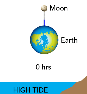 Tides for one lunar day