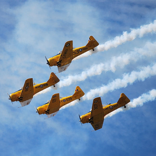 Four Harvard training aircraft