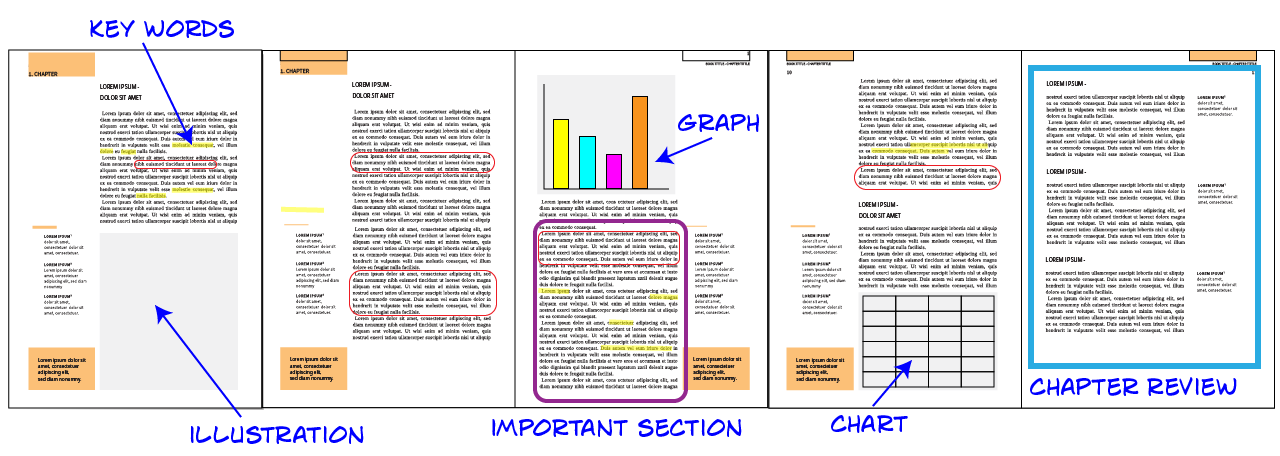 Shown are many pages of a book taped together to create a scroll. Parts of the scroll are highlighted, underlined, and circled. These indicate illustrations, important sections, keywords, charts, graphs, and a chapter review.