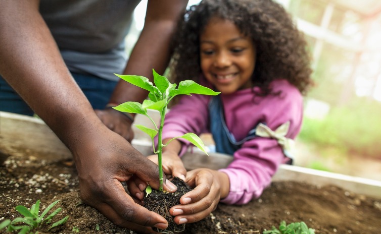 Child planting a plant 