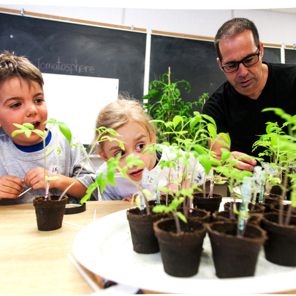 Students and teacher inspecting tomato plants